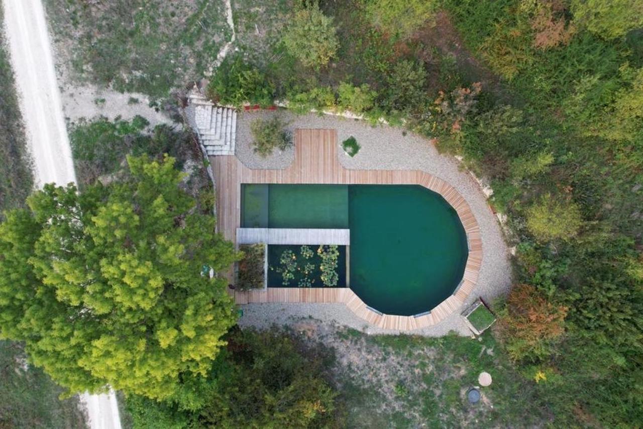Maison Terre Les Cabanes De Fallot - Sauna Bain-Froid Piscine Naturelle L'isle-Bouzon Екстериор снимка